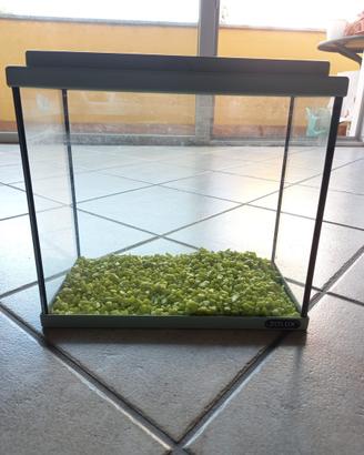 Acquario piccolo