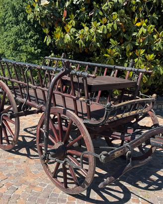 Carrozza per cavalli modello carro da Montagna