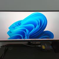 Monitor Ultrawide LG 29