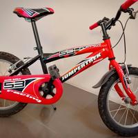 Bicicletta per bambino