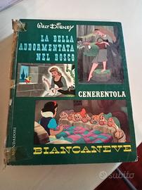 Libro fiabe Disney 