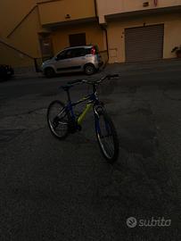 Bicicletta casadei