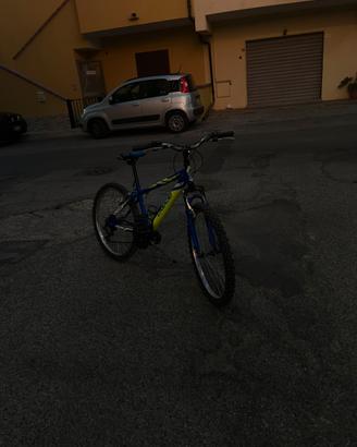 Bicicletta casadei