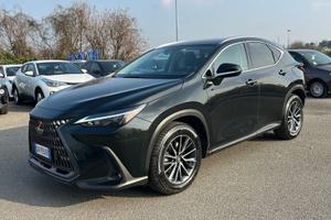 Lexus NX Hybrid Premium+ 4WD IVA ESPOSTA ...