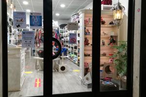 Negozio Castellina Scalo Via Berrettini