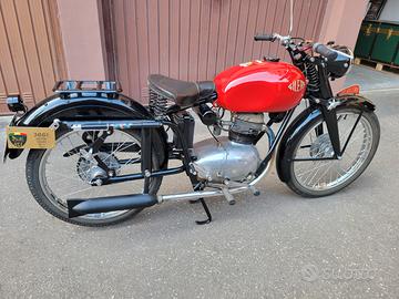 Gilera 150 Turismo - Anno1953