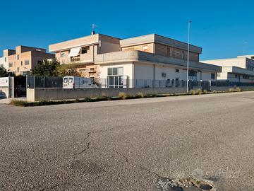 Capannone di recentissima costruzione