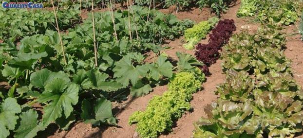 lotti agricoli per orto a Chiaravalle