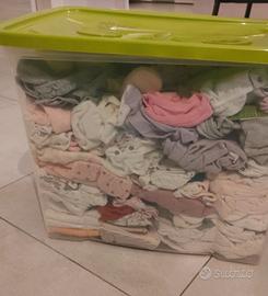 abbigliamento neonata