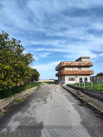 Via trani terreno e palazzina