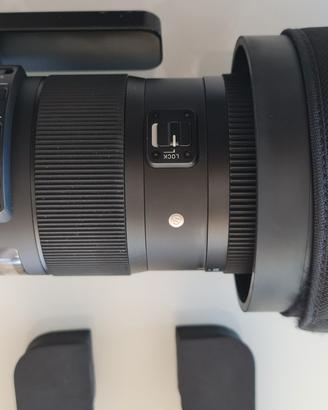  sigma 150-600 mm sport per nikon+ ftz ii