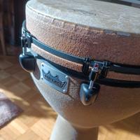 Remo Mondo Djembe
