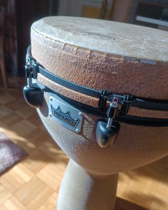 Remo Mondo Djembe