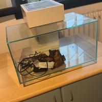 Acquario fluval edge 23 litri