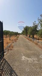 Terreno - Priolo Gargallo