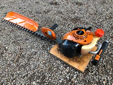 Tagliasiepi Echo professionale