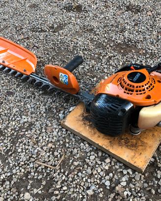 Tagliasiepi Echo professionale