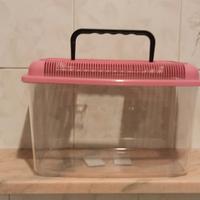 Acquarietto portatile