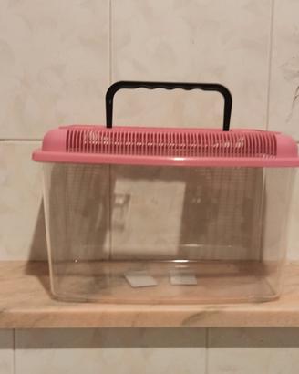 Acquarietto portatile