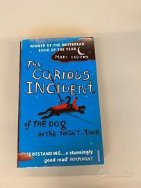 The curious incident of the dog in the night-time