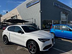 ALFA ROMEO Stelvio 2.2 Turbodiesel 210 CV AT8 Q4
