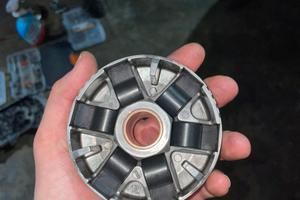 varitore campsna e cinghia