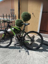 Mountain Bike Grandis Hornet XC