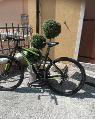 Mountain Bike Grandis Hornet XC