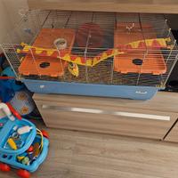 Topolini e gabbia con accessori