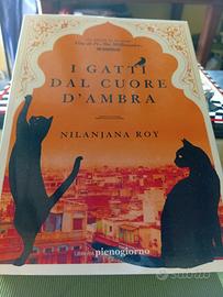 I gatti dal cuore d'ambra