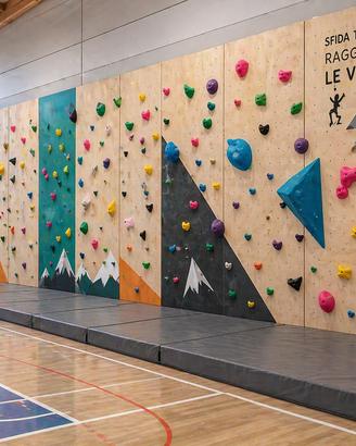 Parete Arrampicata per Scuole e Centri Sportivi