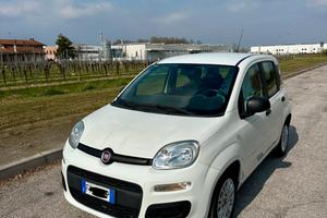 Fiat Panda - 2019