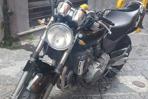 hornet 600