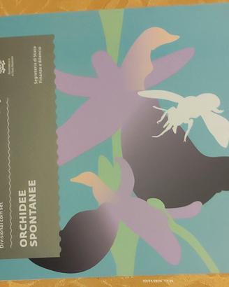 Monete San Marino  Anno Giubilare 2025