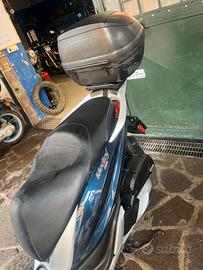 Scoter