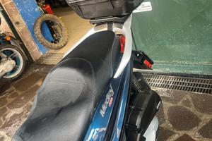 Scoter