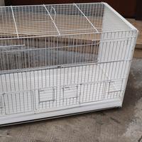 Gabbia per uccelli  - 5 pezzi disponibili 
