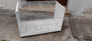 Gabbia per uccelli  - 5 pezzi disponibili 