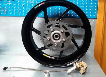 Cerchio Posteriore Marchesini