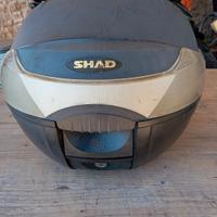 bauletto shad 