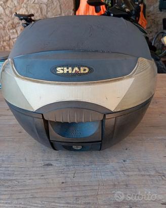 bauletto shad 