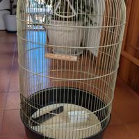 gabbia per pappagalli 