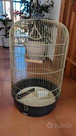 gabbia per pappagalli 