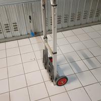 carrello