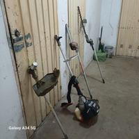 Decespugliatore Sterwins 43 cc