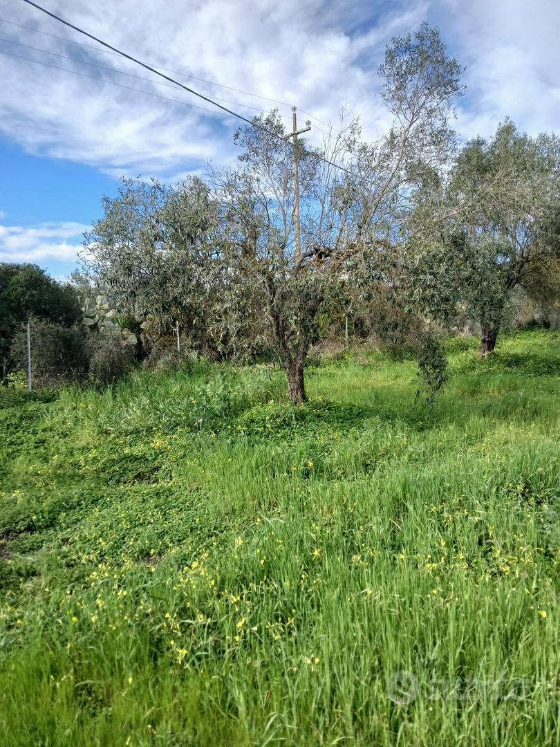 TERRENO AGRICOLO S'ARRIDELI SERDIANA - Vista 3