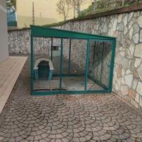 Box per esterno cani