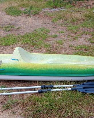 kayak