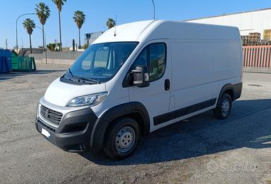 fiat ducato 2019
