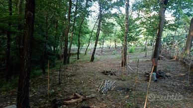 Terreno camerota paese con ruderi